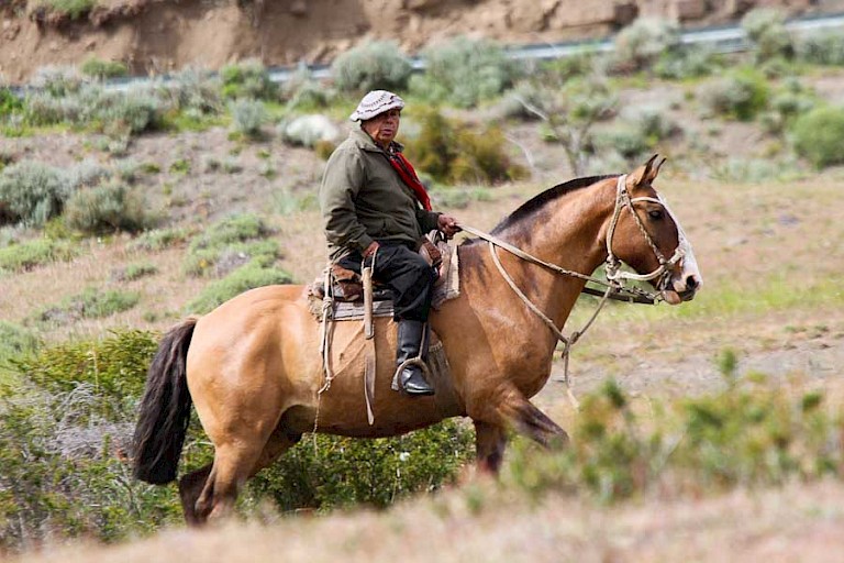 De boeren verplaatsen hun kuddes te paard.