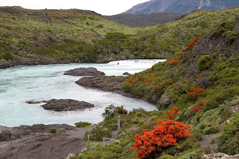 Salto Grande in NP Torres del Paine, Chili.