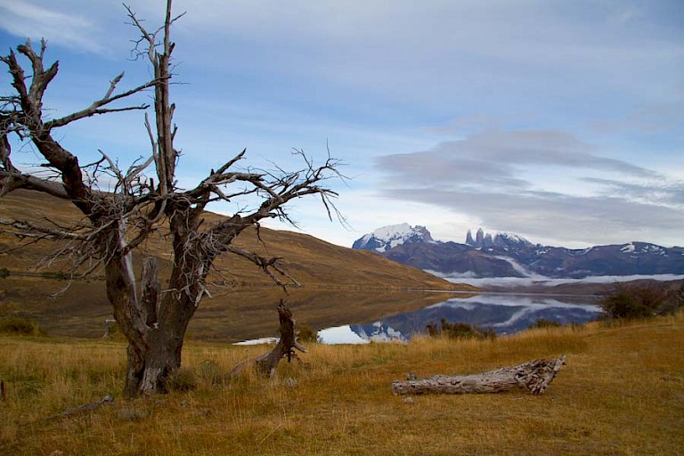 Uitzicht op de Torres vanaf Lago Azul. NP Torres del Paine, Chili.