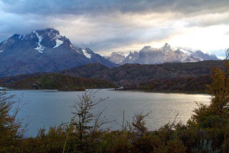 Langs de oever van het Lago Grey. NP Torres del Paine.