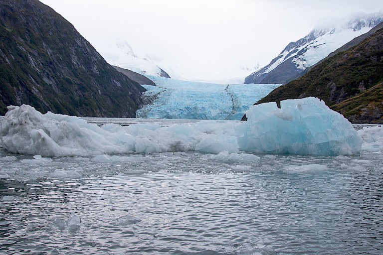 Een van de vele gletsjers in de Glacier Alley.