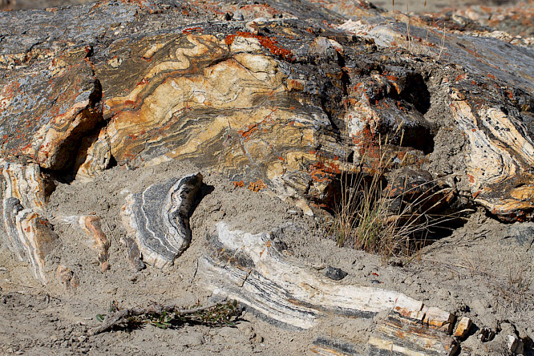 Oost-Groenland is een eldorado voor geologen.
