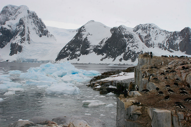Uitzicht vanaf de rotsen van Petermann.
