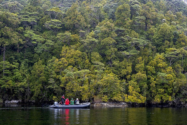 Zodiaccruise in de Fiordlands. Foto Steve Bradley.