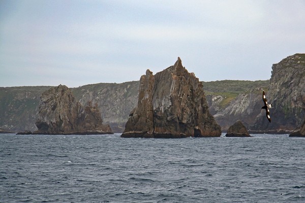 Rotsen voor de kust van Broughton (Snares-eilanden). Foto: Lauk Quispel.