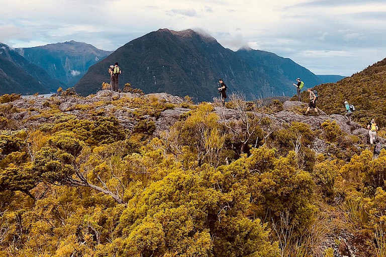 Wandeling op Secretary, een van de eilanden van Fiordlands. Foto: Chris Hill.