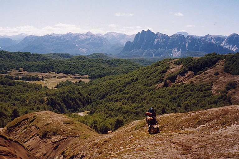 Landschap rond Puyehue, Chili.