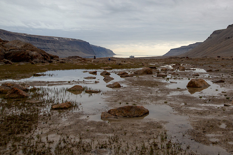 De sompige toendra op Devon.