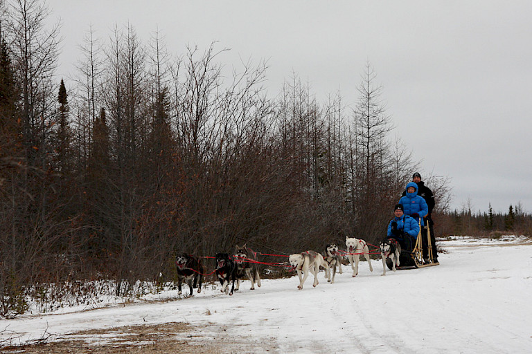 Korte hondensledetocht tijdens de reis naar de ijsberen.