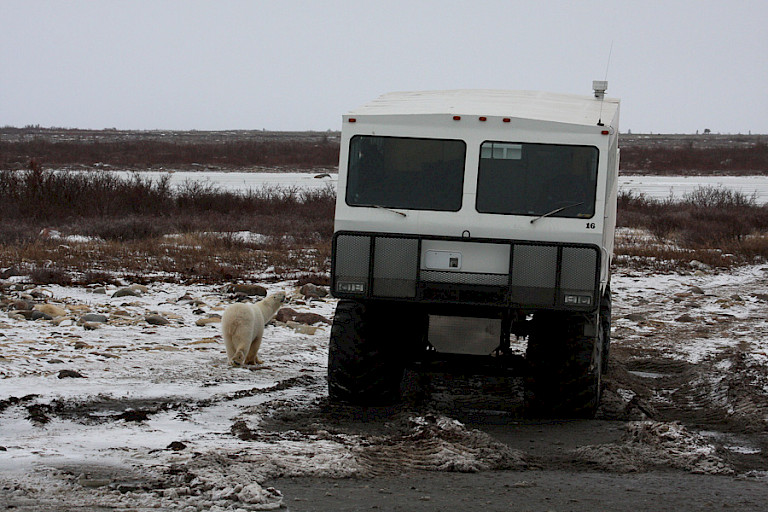 IJberenexcursie per Polar Rover.