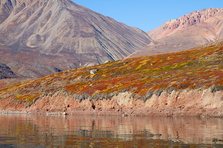 Toendra in herfstkleuren op Røde Ø, Groenland.