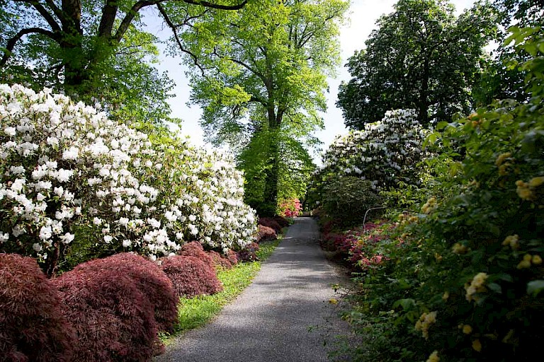 Tuinen van Mount Congreve