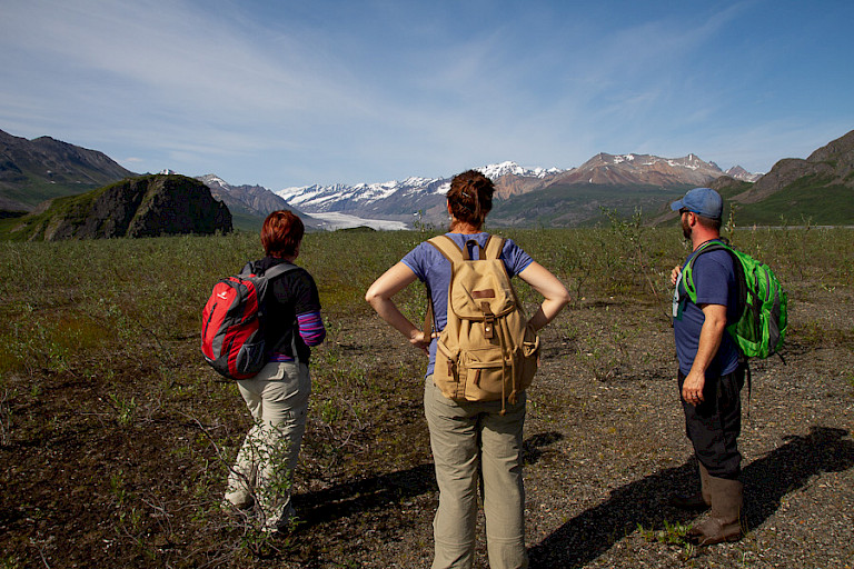Wandeling door Denali NP