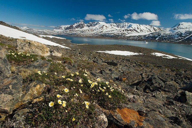 Achtster in het arctische landschap van Spitsbergen.