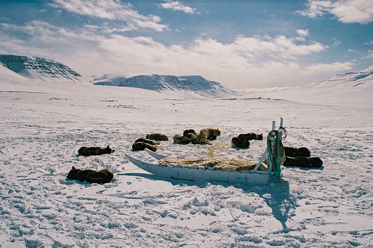 Even uitrusten tijdens een hondensledetocht. Groenland.