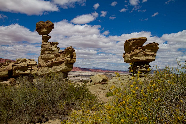 In het park Ischigualasto komt u verschillende prachtige rotsformaties tegen.