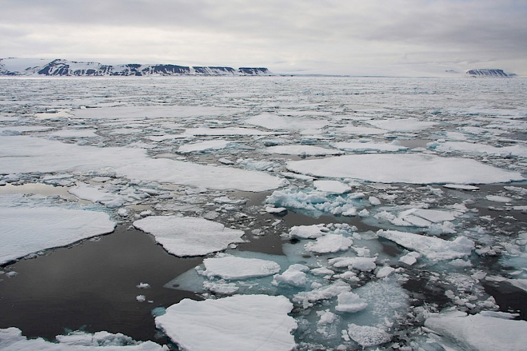 Pakijs bij de ingang van Straat Hinlopen.