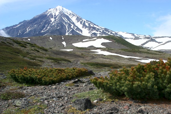 Landschap Avatsjinskiplateau.