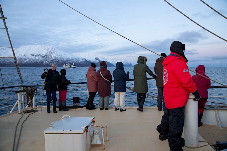 Op de uitkijk naar walvissen...