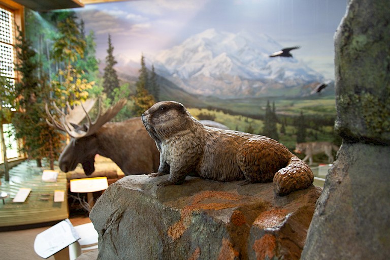 Bezoekerscentrum in Denali NP.