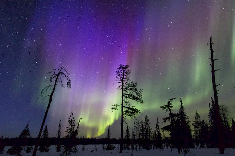 Noorderlicht (Aurora borealis). Foto: Pirjo Natunen
