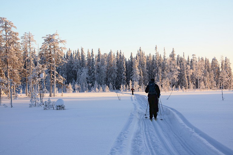 Langlaufspoor over het meer en door de bossen.