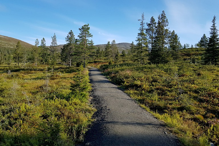 Wandelpad in Pallas Yllästunturi NP.