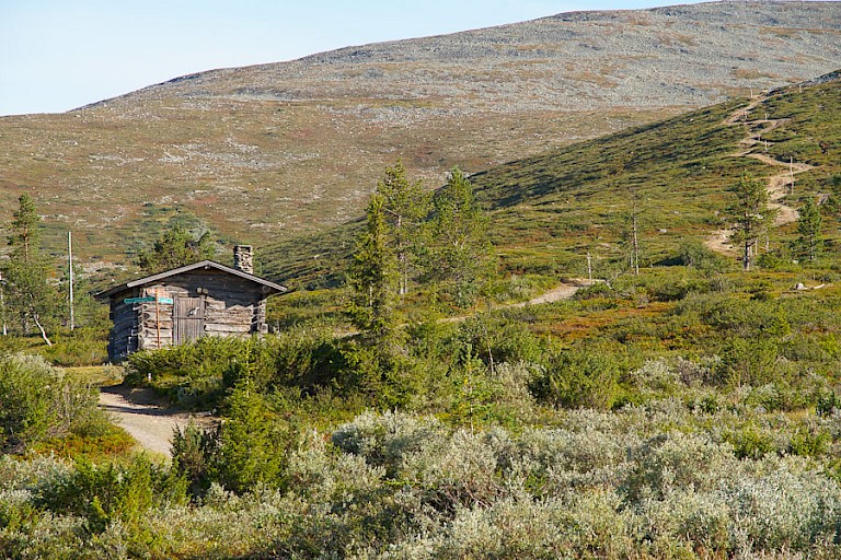 Wandelpad in Pallas Yllästunturi NP.