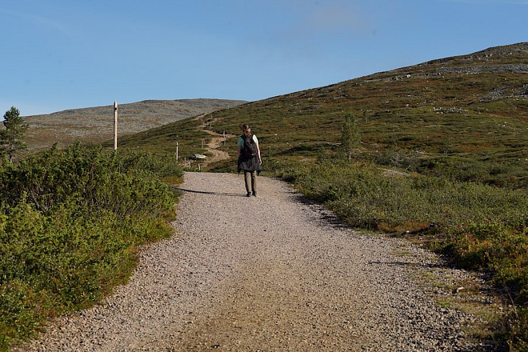 Pallas Yllästunturi NP.