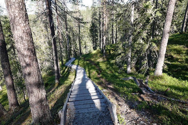 Pad in het Hossa NP.