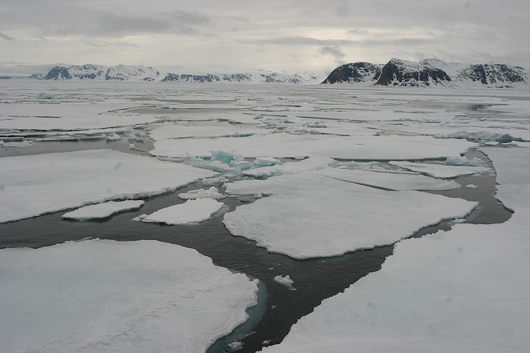 Pakijs bij Noordwest-Spitsbergen.