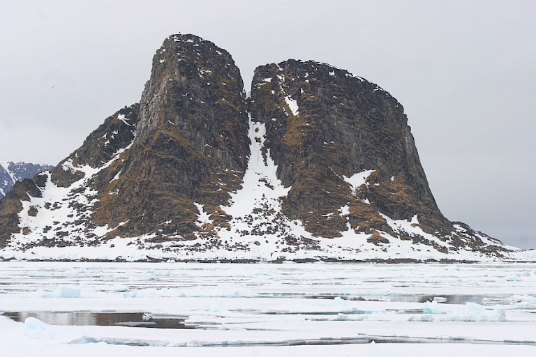 Fuglesangen, kliffen met Kleine alkenkolonie.