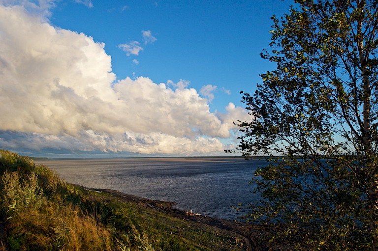 Het landschap langs de rivier Jenisey