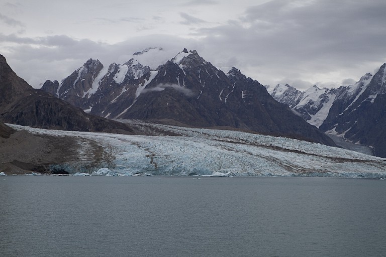 Alpefjord