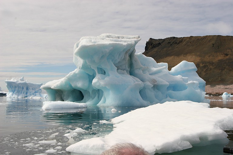 Overal drijven bizargevormde ijsbergen rond in de Weddellzee.