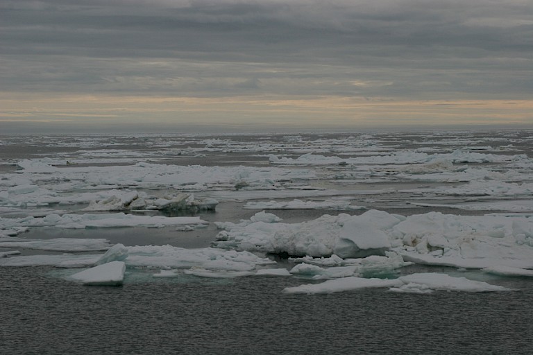 Pakijsveld in het noordoosten van Spitsbergen.
