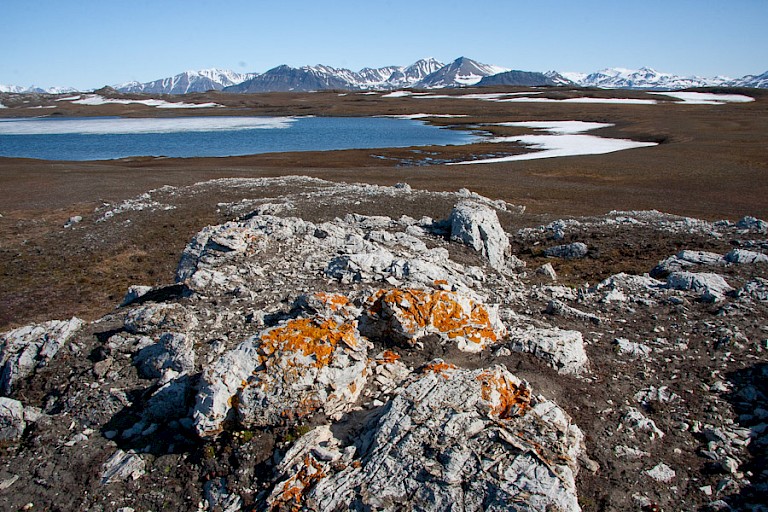Landschap in de Bellsund.