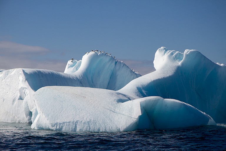IJsbergen bij Sørkapp.