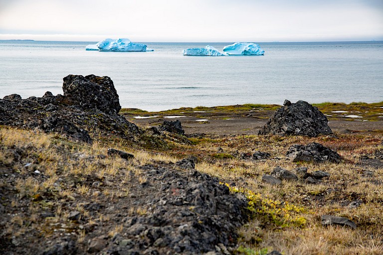 Disko-eiland met uitzicht op voorbijdrijvende ijsbergen.