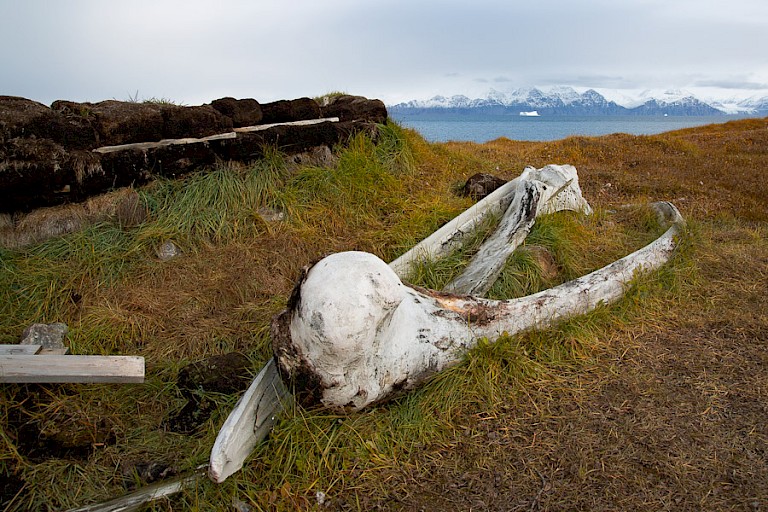 Overblijfselen van een oude turfhut en walvisbotten.
