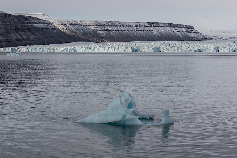 De gletsjer in Croker Bay.