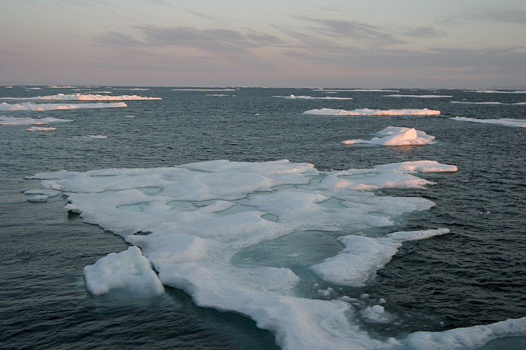 Pakijs tijdens de oversteek naar Canada.