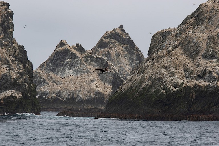De puntige kliffen bij St. Andrews Bay.