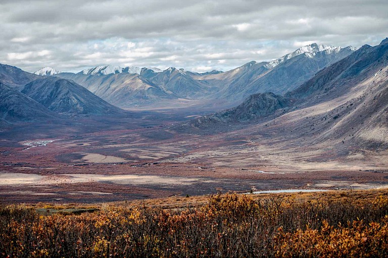 Tombstone Mountains.