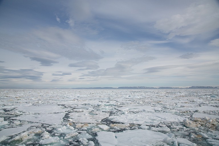 Weidse ijsvlakten ideaal voor het spotten van walrussen en ijsberen.