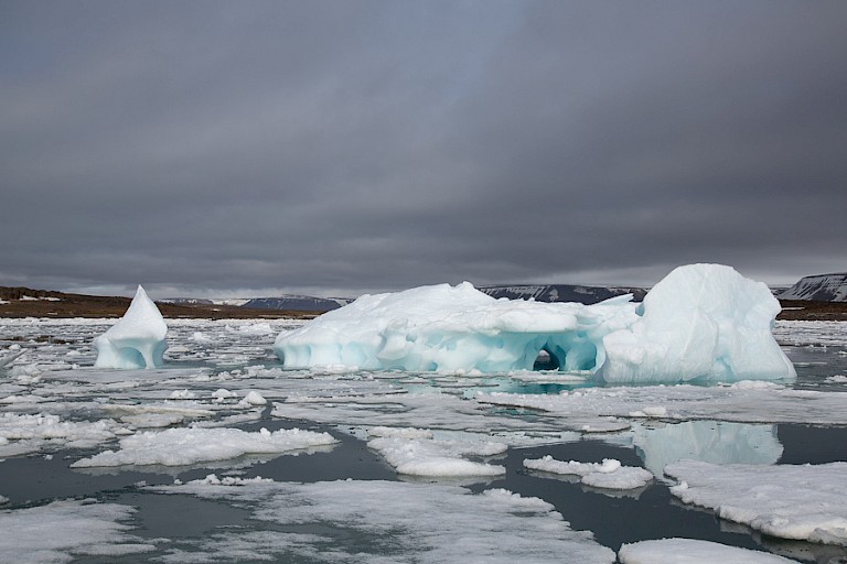 Gletsjerijs in het pakijs.