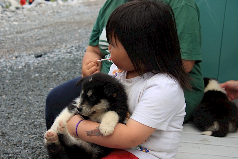 Nain, Inuitmeisje met jonge hond.