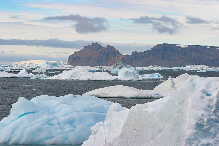 IJsbergen in de toegang naar de Weddellzee (Iceberg Alley).