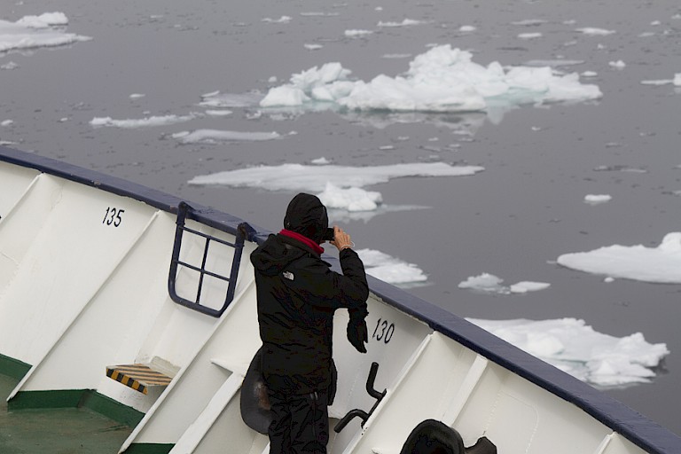 In het open pakijs op zoek naar dieren.