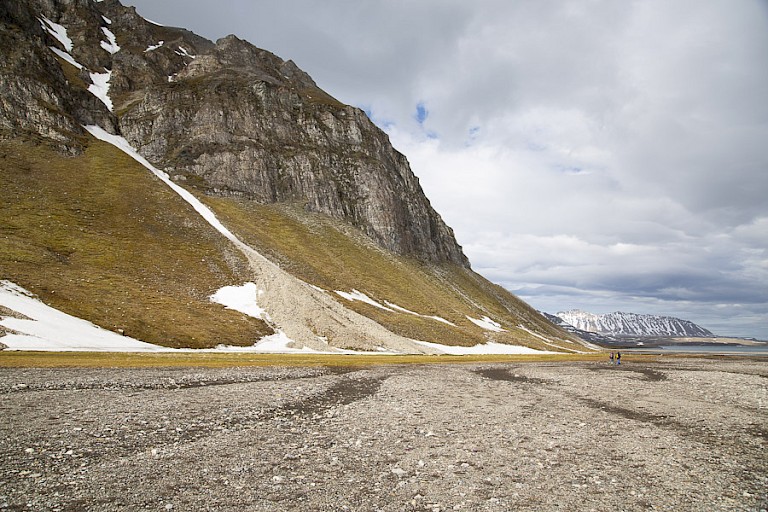Grote vogelrots in de Bellsund.